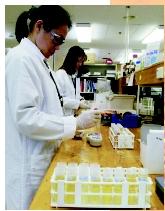 A technician performing a density test from urine samples at the Australian Sports Drug Testing Laboratory in Sydney.