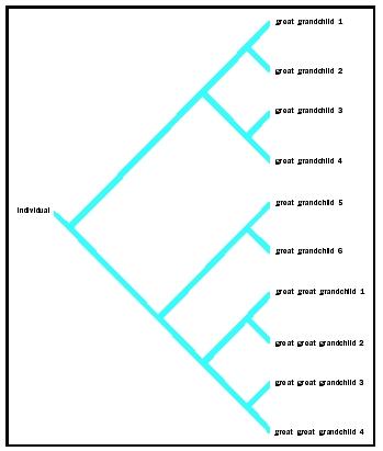 Figure 3. Gene tree illustrating the transfer of genes from one biological ancestor to descendents.
