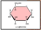Glucose, a common monosaccharide