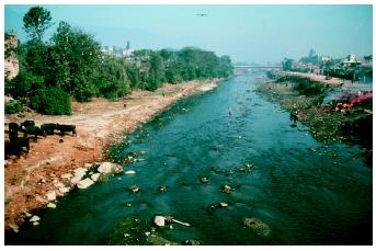 The polluted Swazambhunath River in Kathmandu, Nepal. Sewage, industrial waste, and agricultural runoff can severely damage aquatic communities.