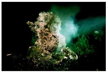 A hydrothermal vent on the East Pacific Rise. Life forms ranging from microbes to invertebrates have adapted to the extreme conditions around these underwater geysers.