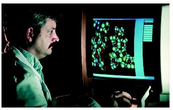 A scientist using a computer to design complex proteins. Proteins are more difficult to manipulate than DNA, and each must be approached individually.