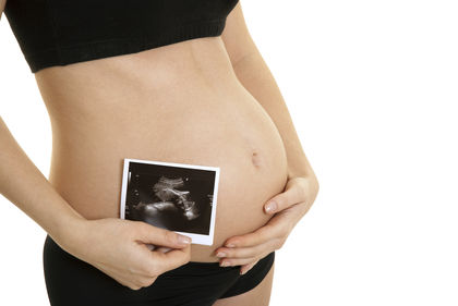Fetal Development Human 3781
